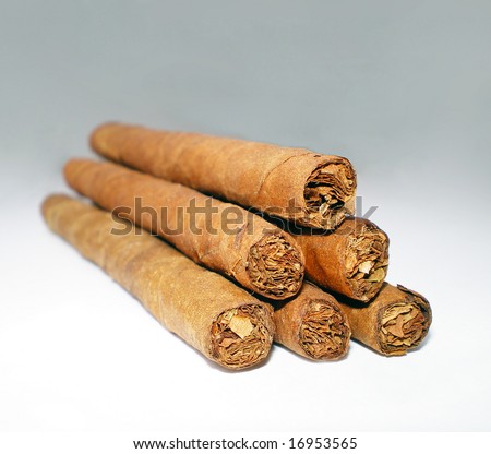 Six cuban cigars close-up.