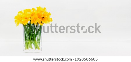 Similar – Image, Stock Photo daffodils Ostrich