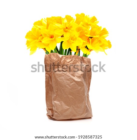 Similar – Image, Stock Photo daffodils Ostrich