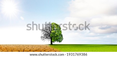 Climate change from drought to green growth Foto stock © 