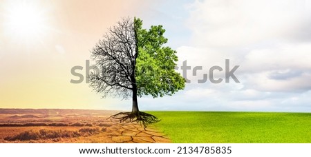 Similar – Image, Stock Photo Climate change | bare patches in the Harz Mountains