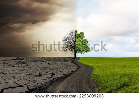 Similar – Image, Stock Photo Climate change | bare patches in the Harz Mountains