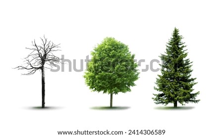 Similar – Image, Stock Photo Broken tree Tree