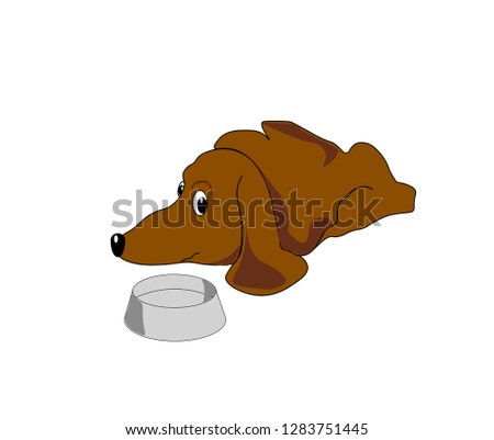 Hungry dog. My little pet wants to eat. Vector illustration 