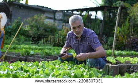Similar – Image, Stock Photo Senior woman in urban environment