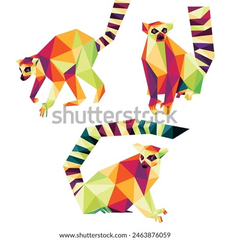 Ring Tailed Lemur Animal Set in Colorful Polygonal low poly. Collection of Ring tailed Lemur Madagascar in Colorful abstract Vector. Lemur Colorful Logo Set