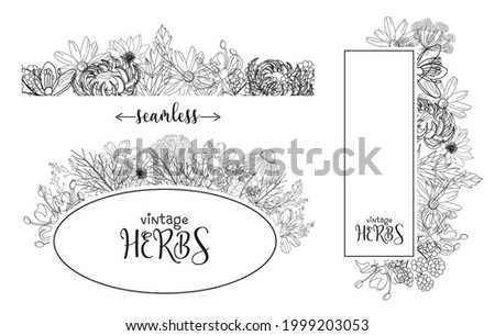 Template card with medicinal herbs. vector template. Wild medicinal plants. Retro flowers. Hand drawing illustration. Engraving style. Botanical illustration. Pharmacy herbs labels. Fresh local organi