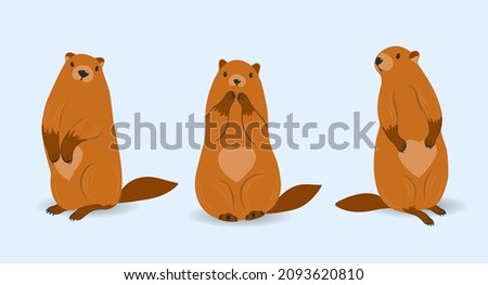 Marmot. SET of characters. Groundhog day. Beavers isolated. Vector illustration. Rodents. Harbingers of Spring.