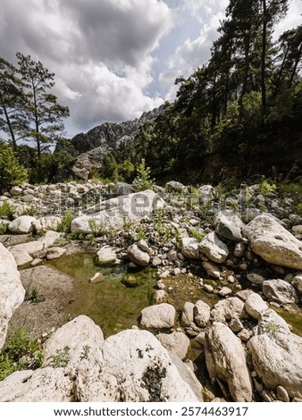 Similar – Image, Stock Photo light Idyll River bank