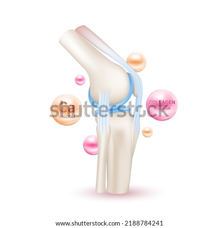 Skeleton x ray scan healthy joint bone anatomy. Vitamin Collagen and Minerals Calcium help heal arthritis knee. Medical or healthcare concept. Isolated on white background realistic 3d vector.