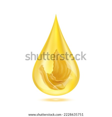 Edible Nest Swiftlet, Bird's nest in golden water drop. Isolated on white background. Premium grade health food supplement. From the saliva of a bird backed. 3D Realistic vector Eps10.
