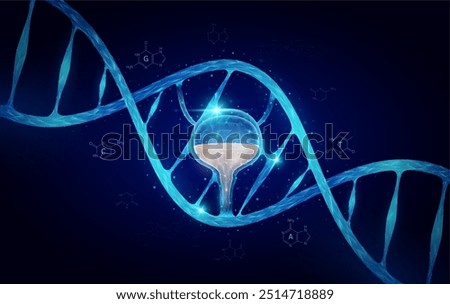 Bladder DNA gene cell double helix blue. Genetic synthetic biology combined. Anatomy organ glowing polygonal. Code analysis thymine, adenine, guanine, cytosine. Medical science background vector.