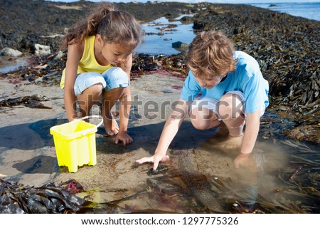 Boy and girl exploring in rock pool on summer beach vacation Stock foto © 
