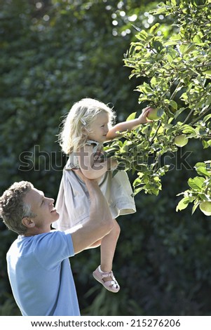 Father lifting daughter above head, girl picking apple from tree in garden, profile