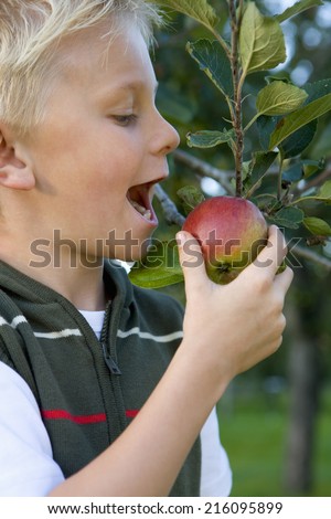 Boy preparing to bite apple on tree, close-up