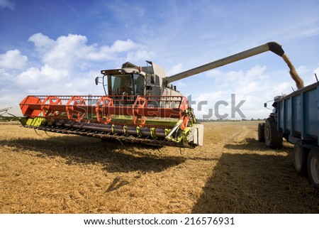 Combine harvesting wheat and filling trailer in sunny, rural field