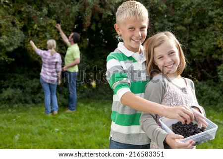 Smiling family gathering berries outdoors together