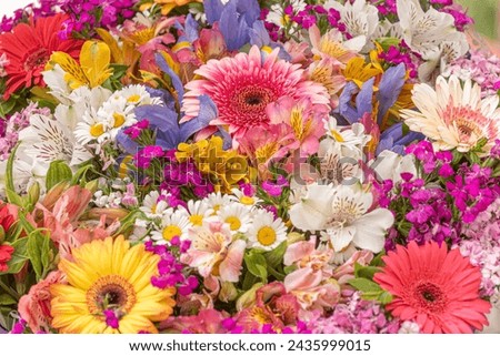 Similar – Image, Stock Photo A colorful bouquet of dahlias on a table
