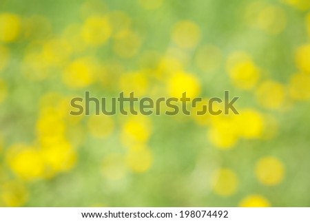 Soft yellow and green flower background