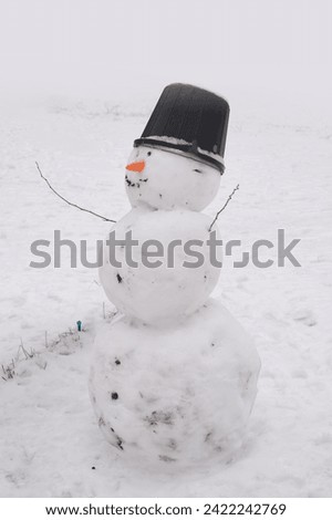 Similar – Image, Stock Photo Snowman standing in foggy winter forest