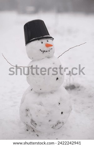 Similar – Image, Stock Photo Snowman standing in foggy winter forest