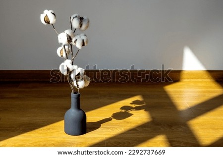 Image, Stock Photo Vases in the window Window