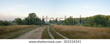 country road leading up to the horizon line , nature series