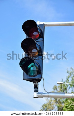 Traffic lights at the road crossing