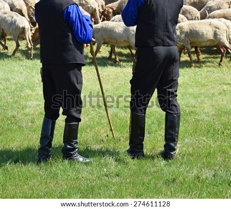 Shepherds and sheep