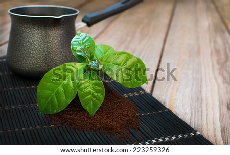 coffee leaves with drops of water and bowl for coffee prepare on a bamboo mat and a wooden background