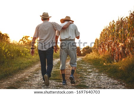 Two old friends.Two senior friends walks trough corn field on sunset. ストックフォト © 