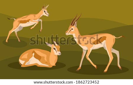 a group of gazelles in different poses, the female is jumping and standing, the gazelles lie on a green background