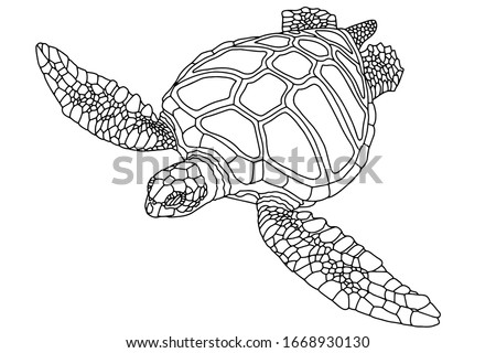 images Realistic Turtle Drawing realistic sea turtle drawing at