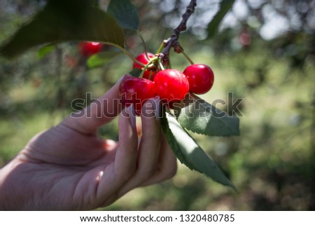 Shutterstock Puzzlepix