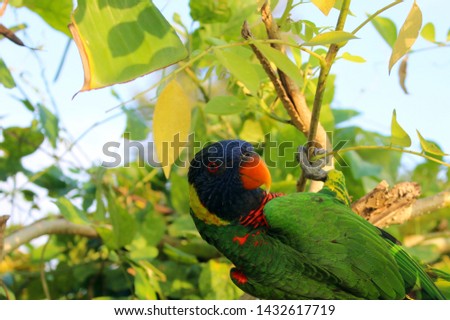 Shutterstock Puzzlepix