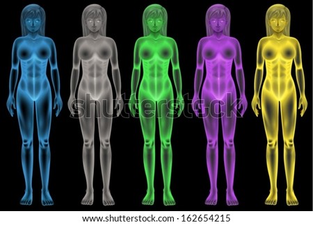 Illustration of the female coloured bodies