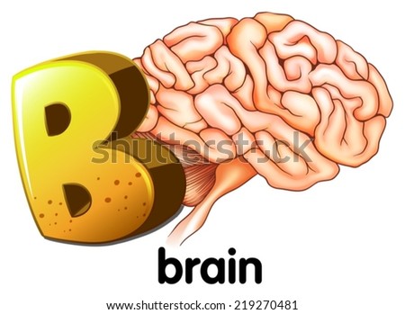 Illustration of a letter B for brain on a white background  