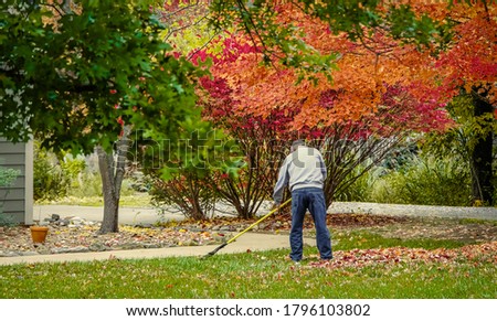 Senior man raking colorful fallen leaves in front of his house in the fall