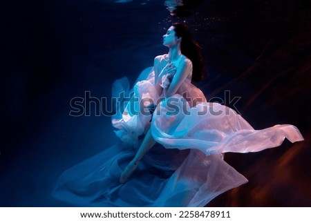 Similar – Image, Stock Photo mysterious woman under a black tulle