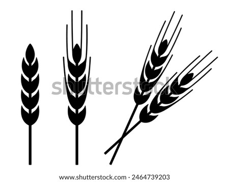 Wheat ear icon, black silhouette isolated on white. Spikelet of wheat, rye or barley with awn, stencil style. Vector clipart, minimalist sign or simple logo for agriculture or farming design.