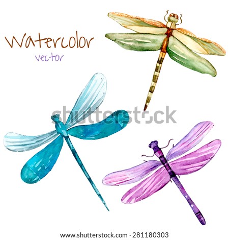 Watercolor dragonfly set. Vector isolated art insects in vector.