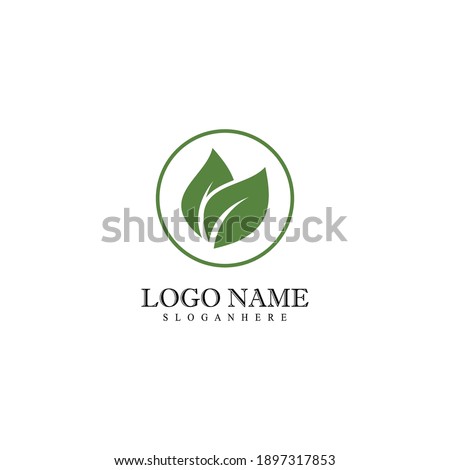 Mint leaves flat vector color icon template