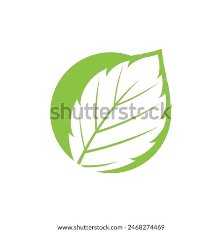 Mint leaf logo vector element template and symbol