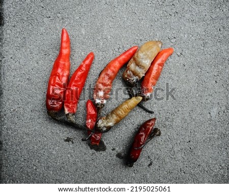 Cabe busuk, lombok merah busuk, rotten chili. ストックフォト © 