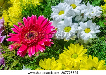 a beautiful floral arrangement with gerberas, daisies and false sunflowers