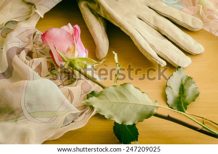 composition with elegant glove and rose in vintage look
