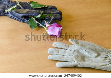 male and female glove exchanging a rose on a wooden table