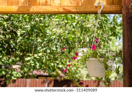 white plastic flower pot hanging outside the house in the porch in front of green treas in the garden
