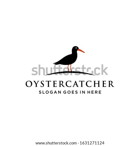 oyster catcher bird logo design vector image illustration
