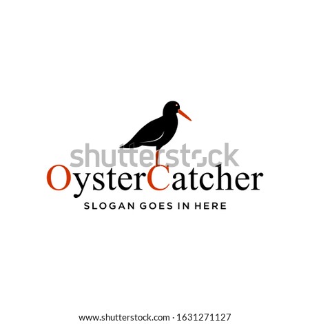 oyster catcher bird logo design vector image illustration